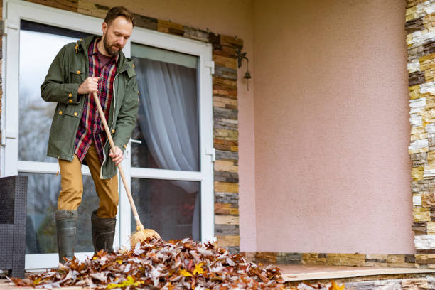 Professional Junk Removal in Spring Valley Lake, CA